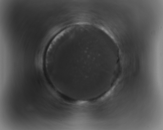 X0000094350055200711162038