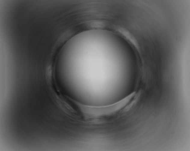 X0000094350057200711162038