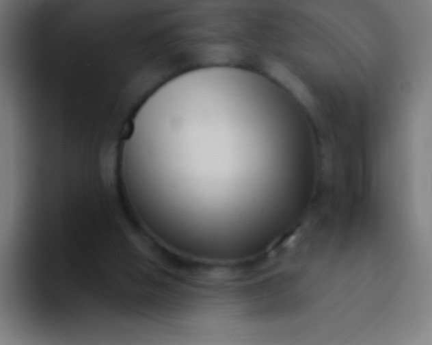 X0000094350058200711162038