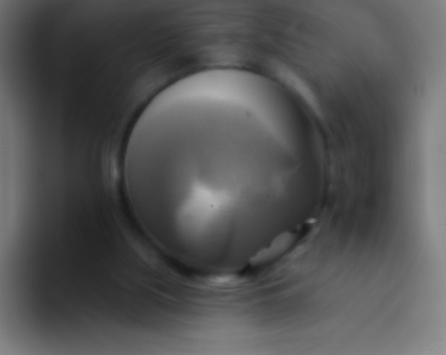 X0000094350059200711162038