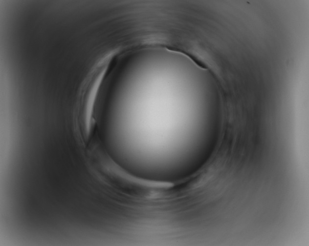 X0000094350060200711162038