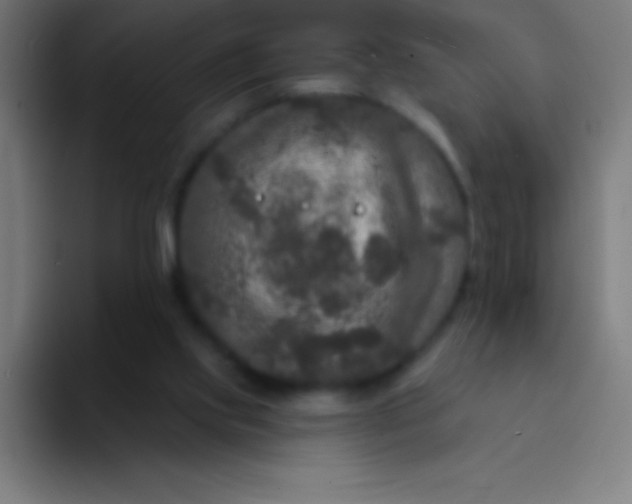 X0000094350061200711162038