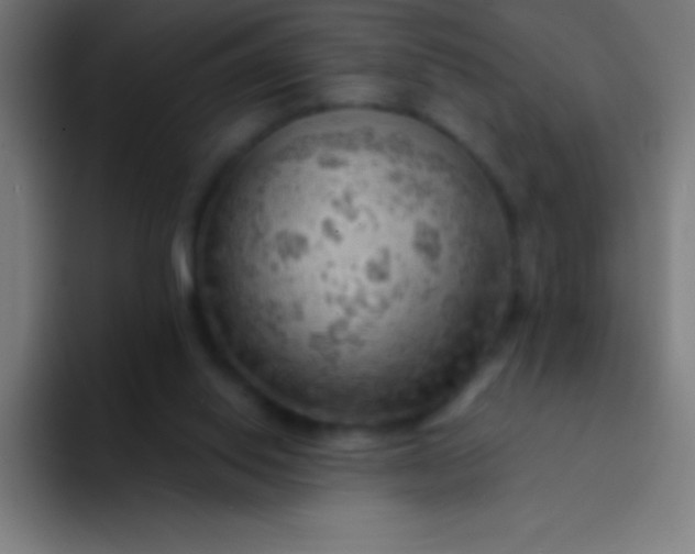 X0000094350062200711162038