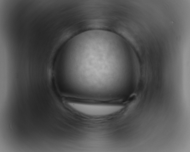 X0000094350063200711162038