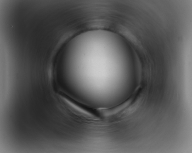 X0000094350064200711162038