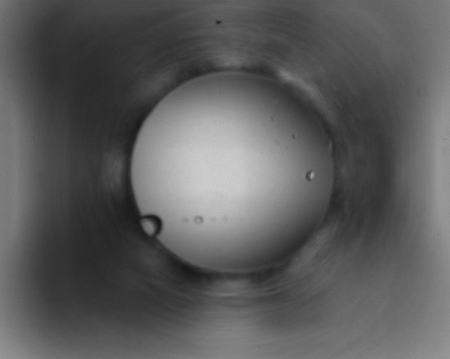 X0000094350066200711162038