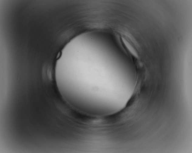 X0000094350068200711162038