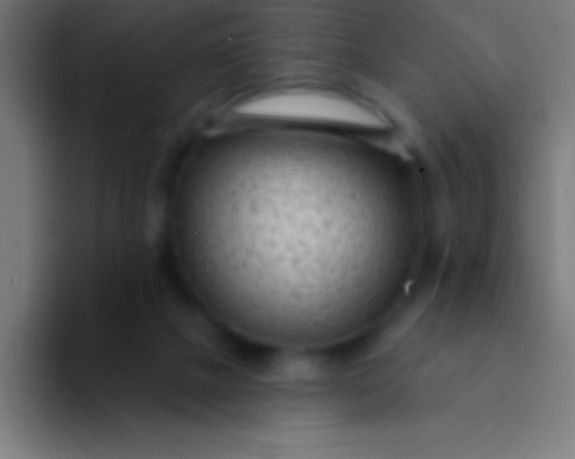 X0000094350073200711162038