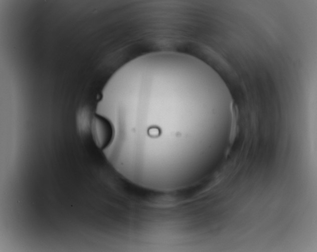 X0000094350075200711162038