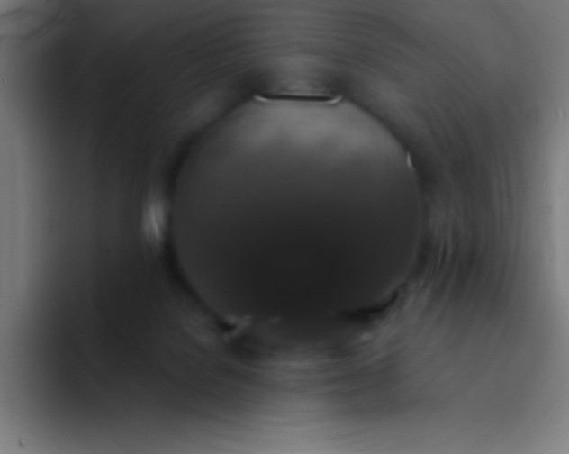 X0000094350076200711162038