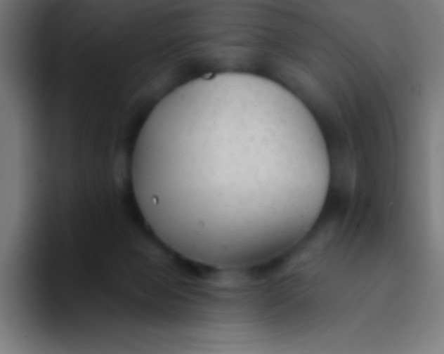 X0000094350077200711162038