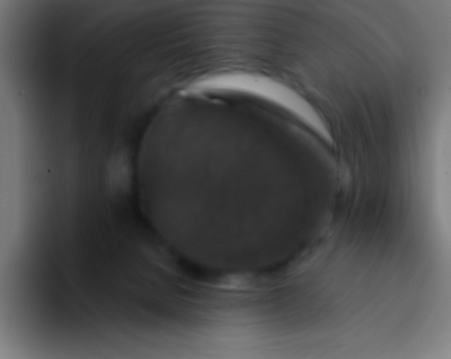 X0000094350080200711162038