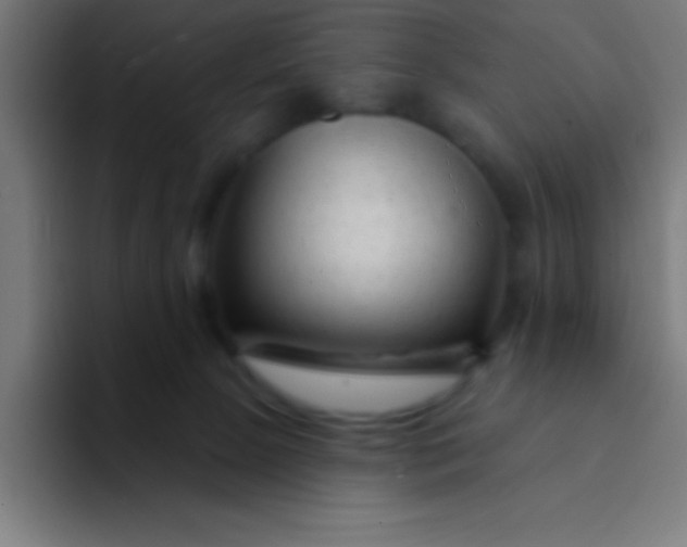 X0000094350081200711162038