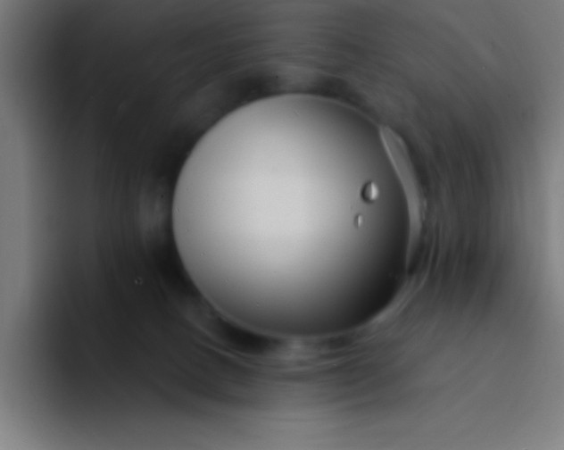 X0000094350082200711162038