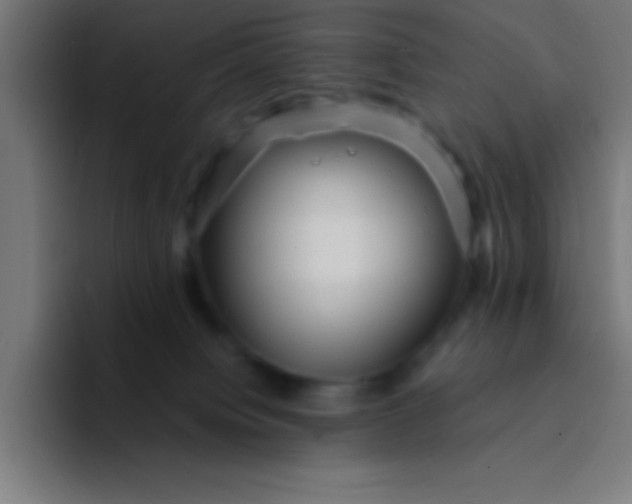 X0000094350084200711162038