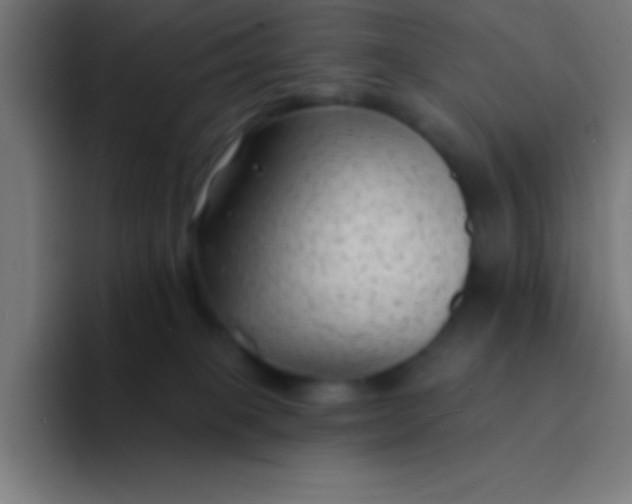 X0000094350085200711162038