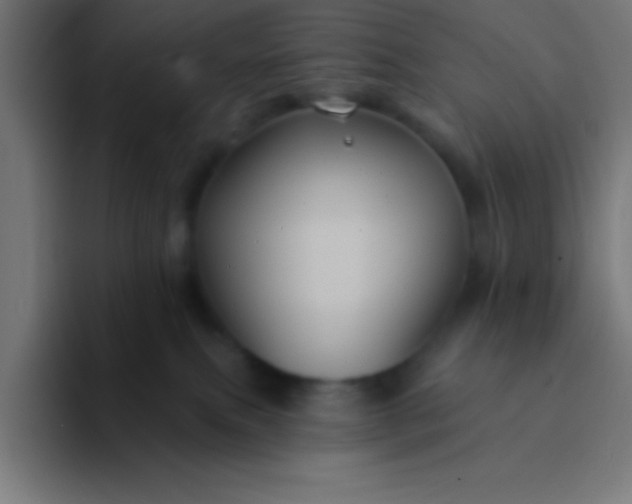 X0000094350087200711162038