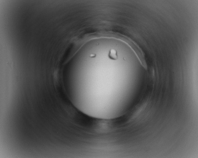 X0000094350088200711162038