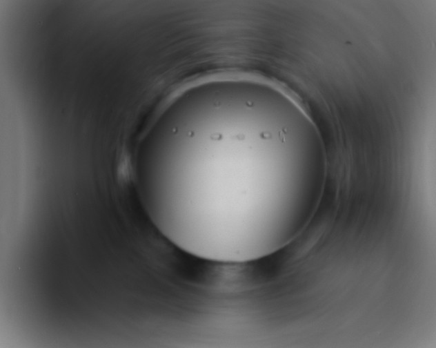 X0000094350089200711162038