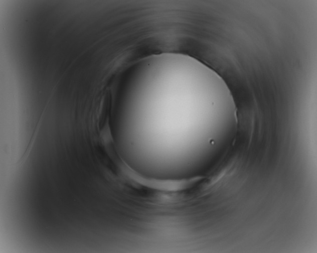 X0000094350092200711162038