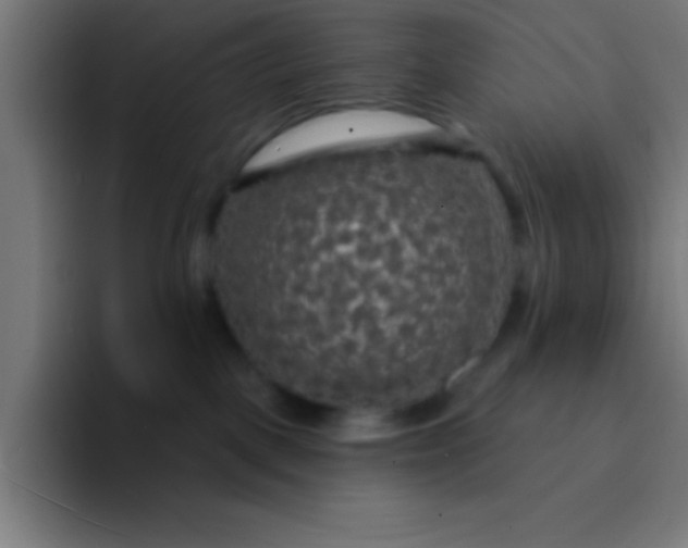 X0000094350093200711162038