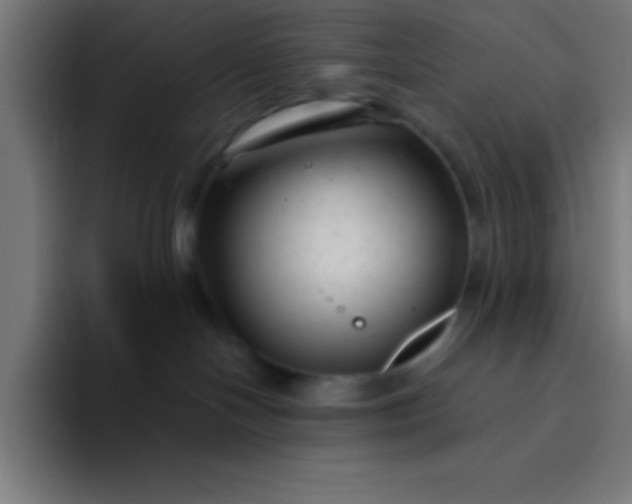 X0000094350094200711162038