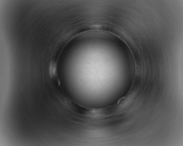 X0000094350095200711162038