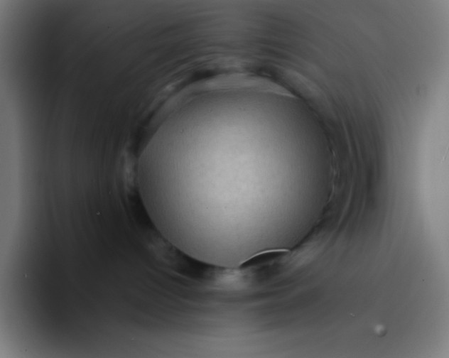 X0000094350096200711162038