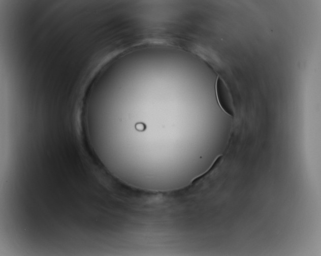 X0000094350098200711162038