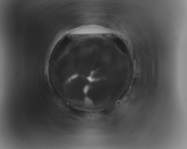 X0000094350099200711162038