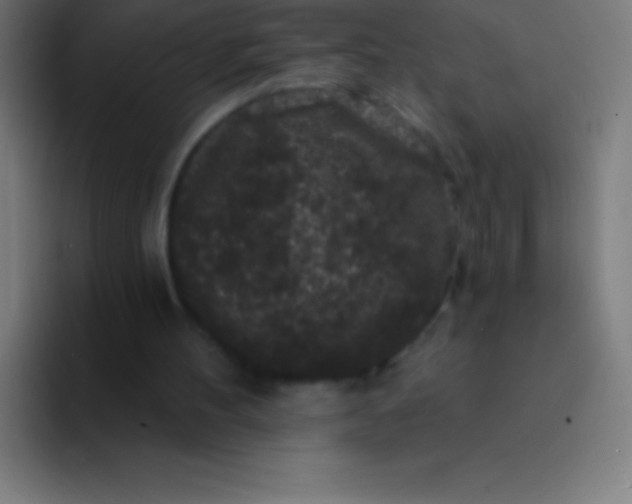 X0000094350100200711162038