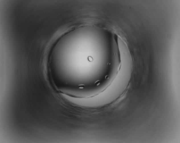 X0000094350101200711162038