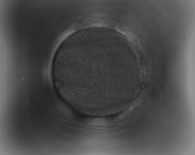 X0000094350104200711162038