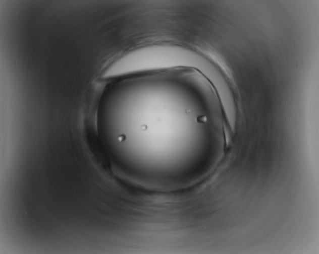 X0000094350105200711162038