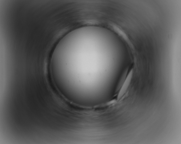 X0000094350106200711162038