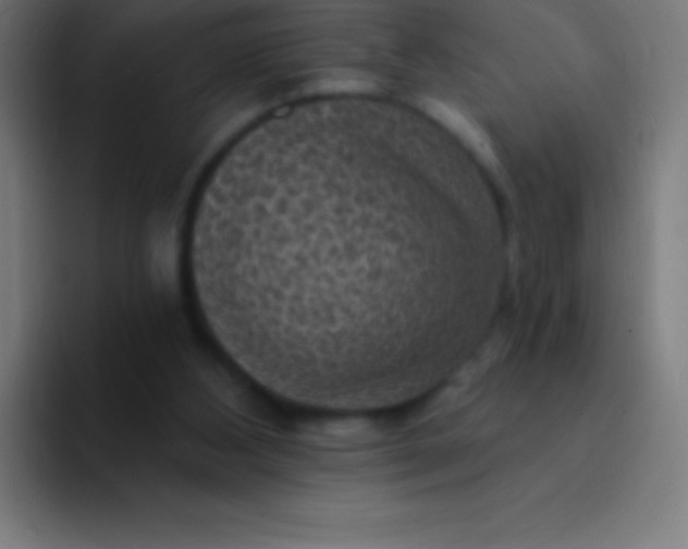 X0000094350108200711162038