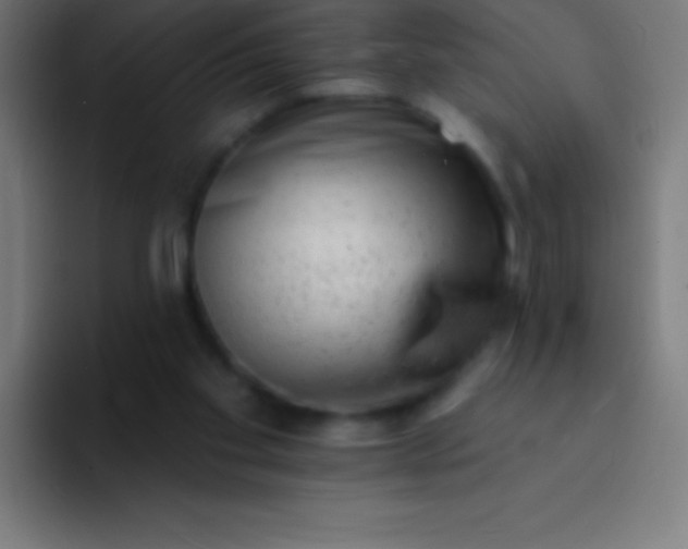 X0000094350109200711162038