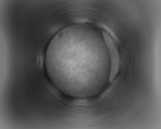 X0000094350110200711162038