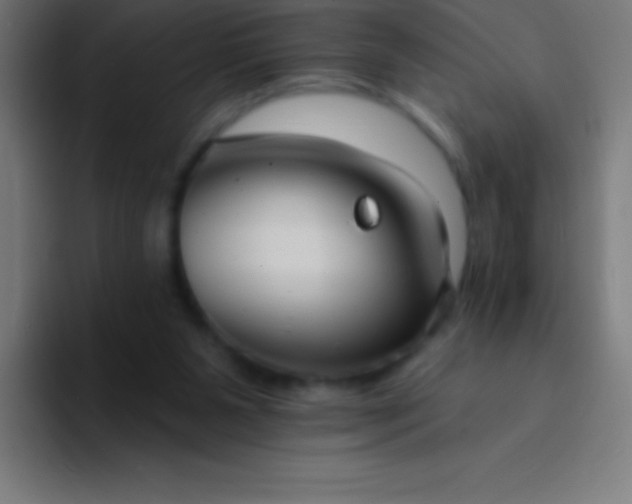 X0000094350111200711162038