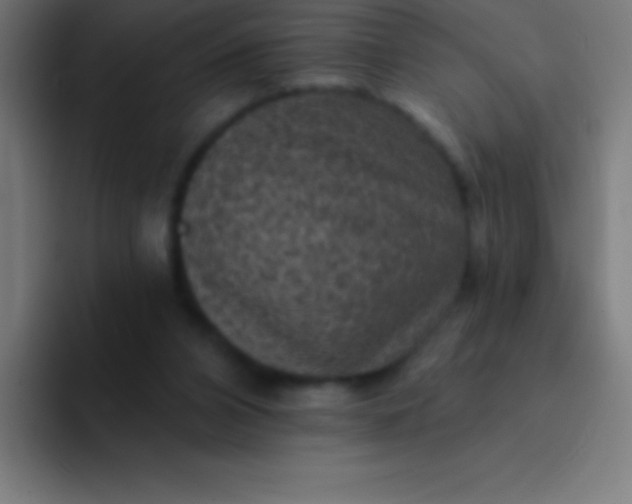 X0000094350112200711162038