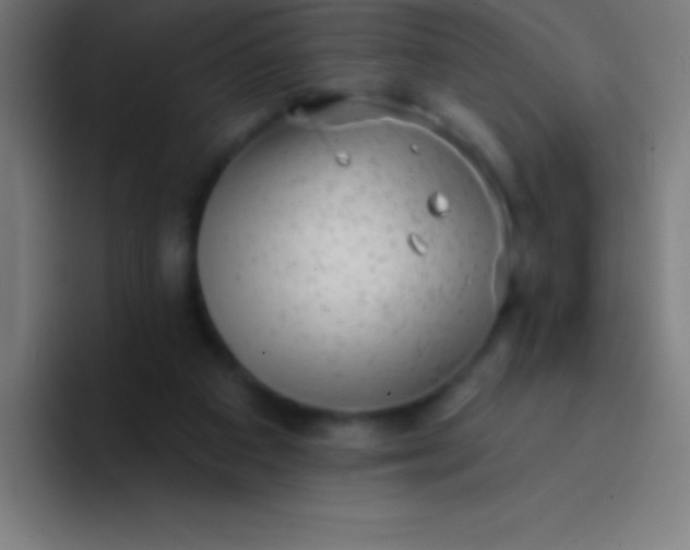 X0000094350113200711162038