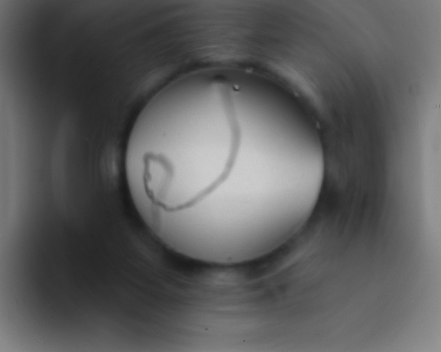 X0000094350115200711162038