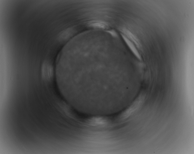 X0000094350117200711162038