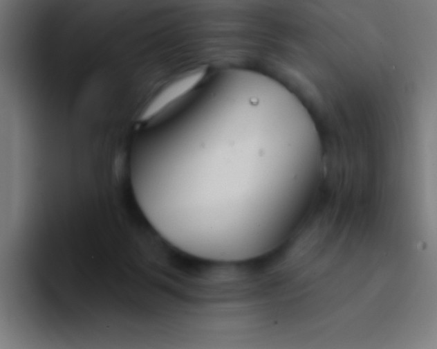 X0000094350123200711162037