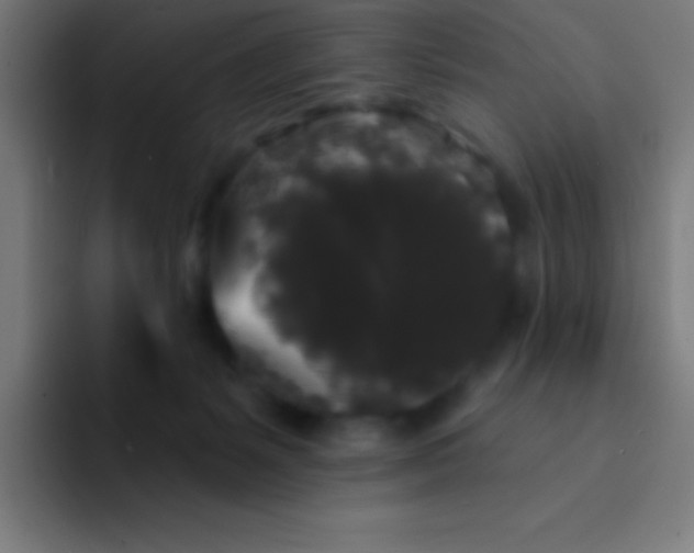 X0000094350127200711162037