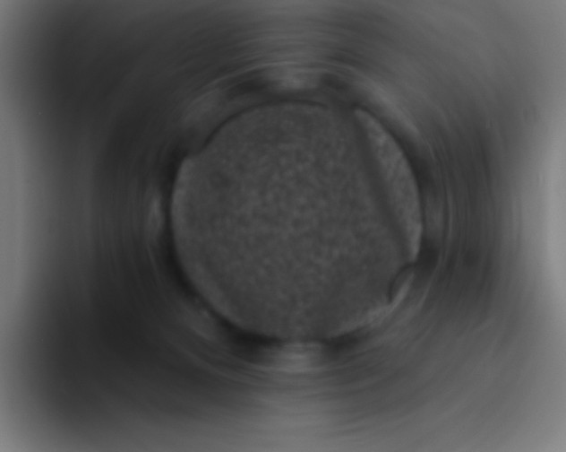 X0000094350128200711162037