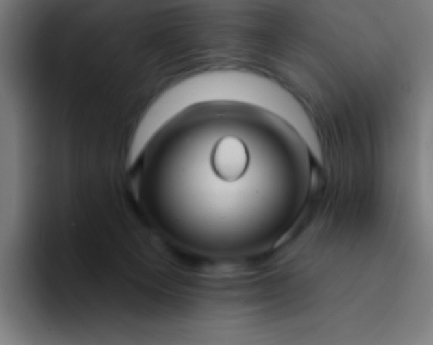 X0000094350129200711162037