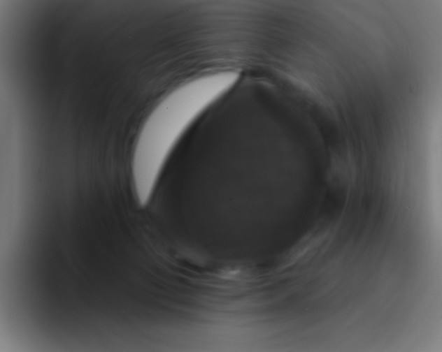 X0000094350130200711162037