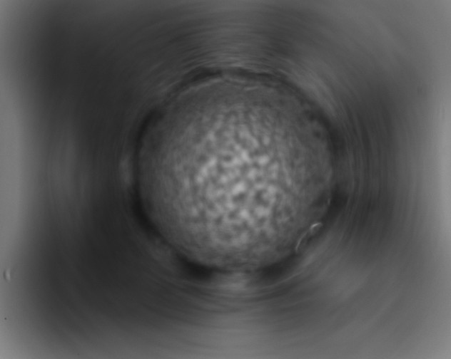 X0000094350131200711162037