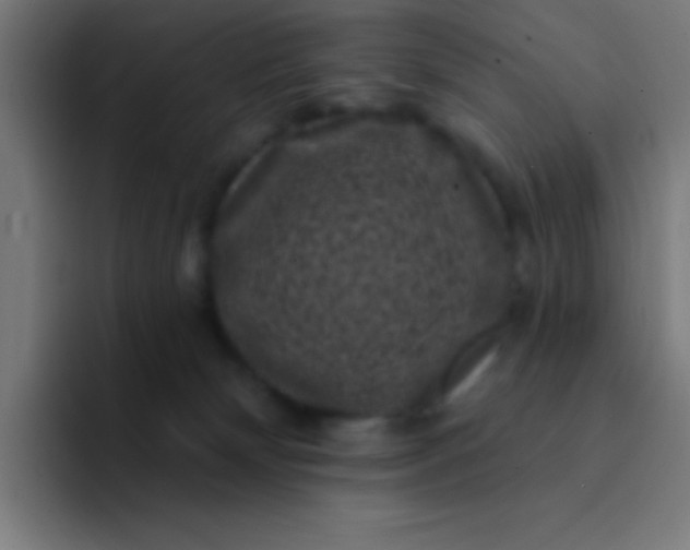 X0000094350132200711162037